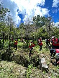 イヌマキの育樹祭