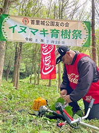 イヌマキの育樹祭