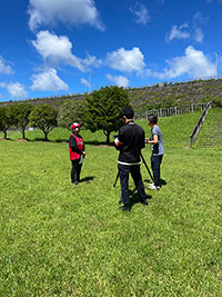 イヌマキの育樹祭