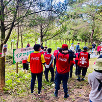 イヌマキの育樹祭
