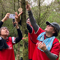 イヌマキの育樹祭